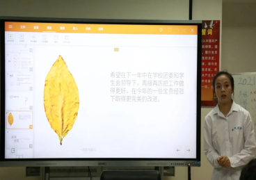 熊猫体育官方指定端
