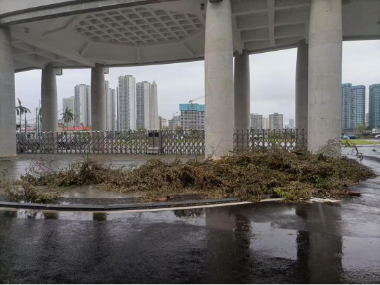 熊猫体育官方线路
