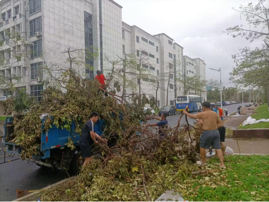 熊猫体育稳定线路